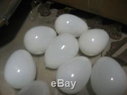 ANTIQUE primitive 12 blown MILK GLASS eggs FARM collectible GREAT decor 2.75