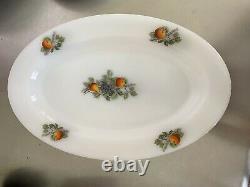 ARCOPAL''FRUITS de FRANCE'' Dishes White Milk glass Lot Of 61