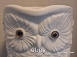 Antique Owl Opaque Milk Glass Picture With Glass Eyes