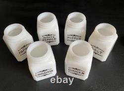 Frank Tea & Spice Co Dove Brand 12 White Milk Glass Spice Jars on Metal Rack