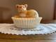 Hard To Find Vintage Westmoreland Milk/carnival Glass Cat On Nest Covered Dish