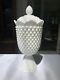 Hobnail White Milk Glass By Fenton Footed Urn With Lid 11 Tall Flawless
