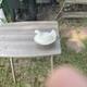 Indiana Glass White Milk Glass Hen On Nest Chicken In Basket Candy Dish, Ex Cond