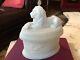 Majestic Lion Milk Glass Covered Dish Rare! Tree And Bird Base Antique