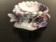 Rare Slag Challinor Taylor Milk Glass Fish Shell Salt Dip Dish
