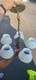 Vintage Hobnail Milk Glass 5-arm Chandelier Ceiling Light Fixture