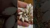 Vintage Jewelry Milk Glass Collection Of Weiss Judy Lee
