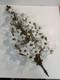 Vtg Italian Style Gilt Brass Wall Sculpture White Milk Glass Lily Flowers 40 L