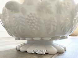 Westmoreland Milk Glass Oval Dish Large Paneled Grape! Minty